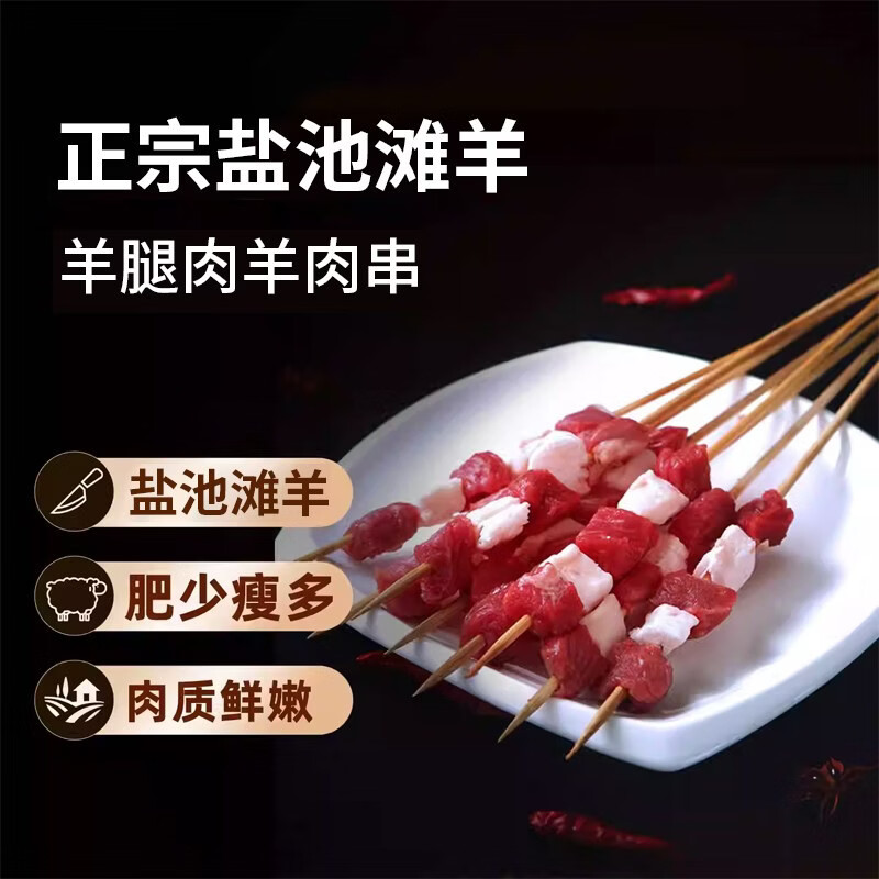 嘉谨牧场宁夏盐池滩羊肉串原切羔羊串新鲜半成品户外烧烤食材清真原味 【羊肉串三瘦两肥】9斤-烧烤摊推荐