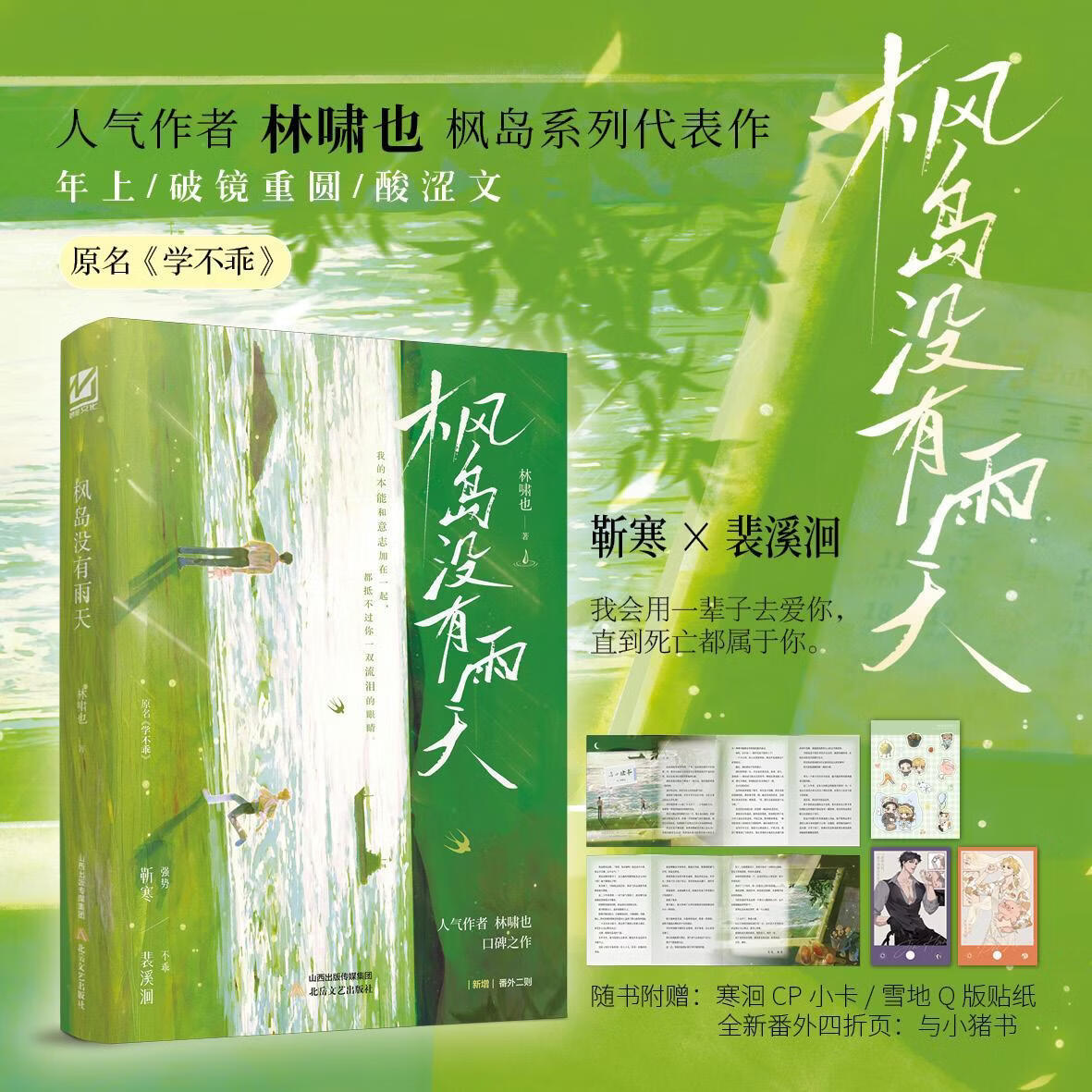 枫岛没有雨天林啸也北岳文艺出版社9787537872843 历史书籍