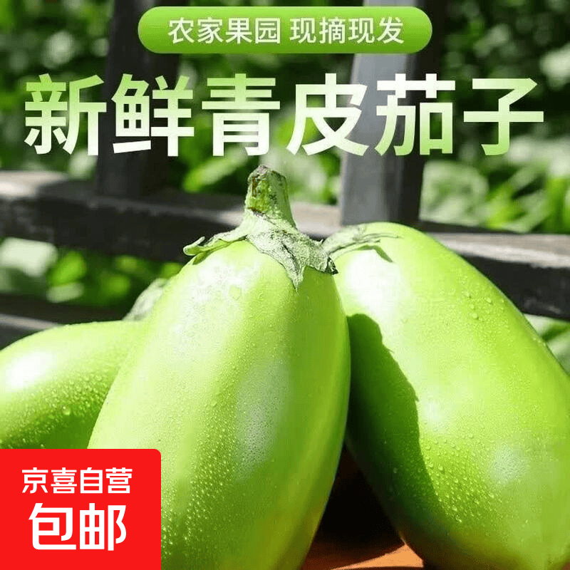 新鲜现摘青茄子农家自种绿皮长茄子当季时令生鲜蔬菜炒菜凉拌食材 河南青茄子 5斤 净重