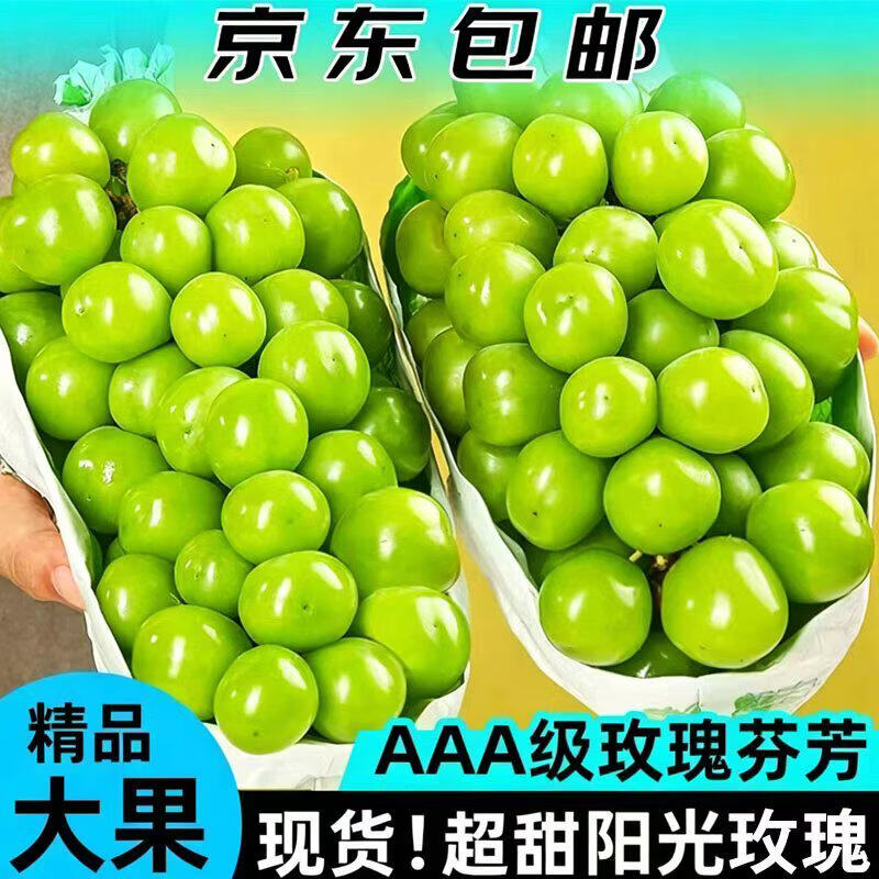 佳果家美阳光玫瑰葡萄新鲜整箱生鲜水果礼盒孕妇应季水果【京东快递】 特级果净重4斤【单果8-13g】