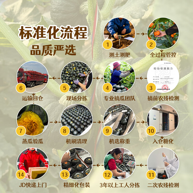 南小萌甜墩墩贝贝南瓜板栗小南瓜正宗板栗味贝贝早餐宝宝辅食 净重 2.2斤 家庭小份装