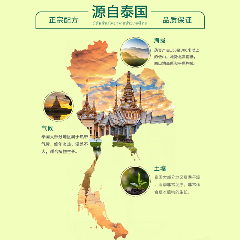 金卧佛牌泰国青草膏蚊虫叮咬止痒防暑降温晕车提神醒脑旅行居家50g一瓶装