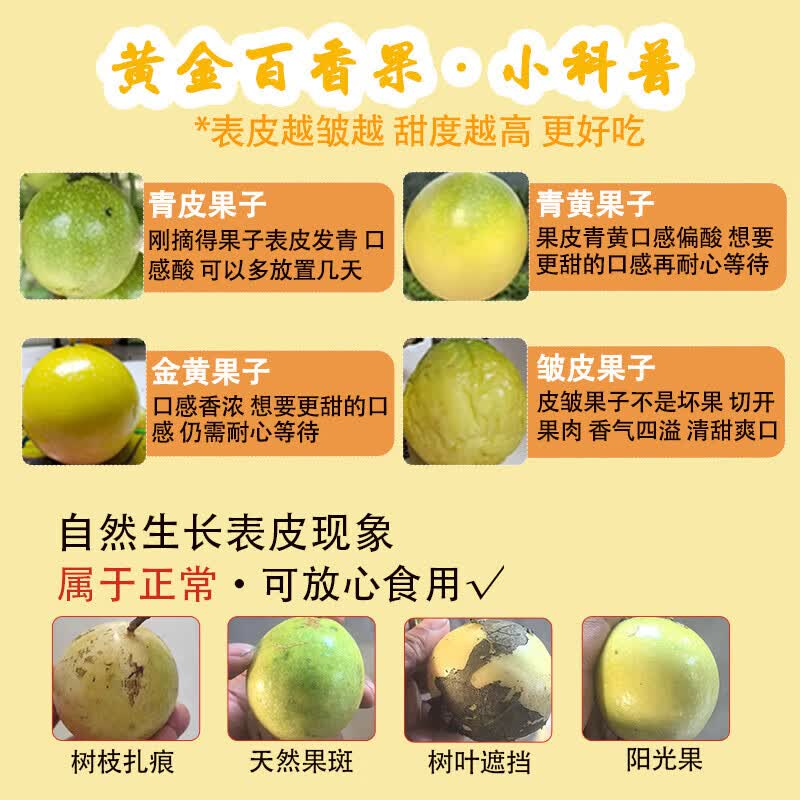 泰汇吃黄金百香果 广西当季新鲜钦蜜9号百香果现摘整箱水果 精选好果17粒【单果30-45g】