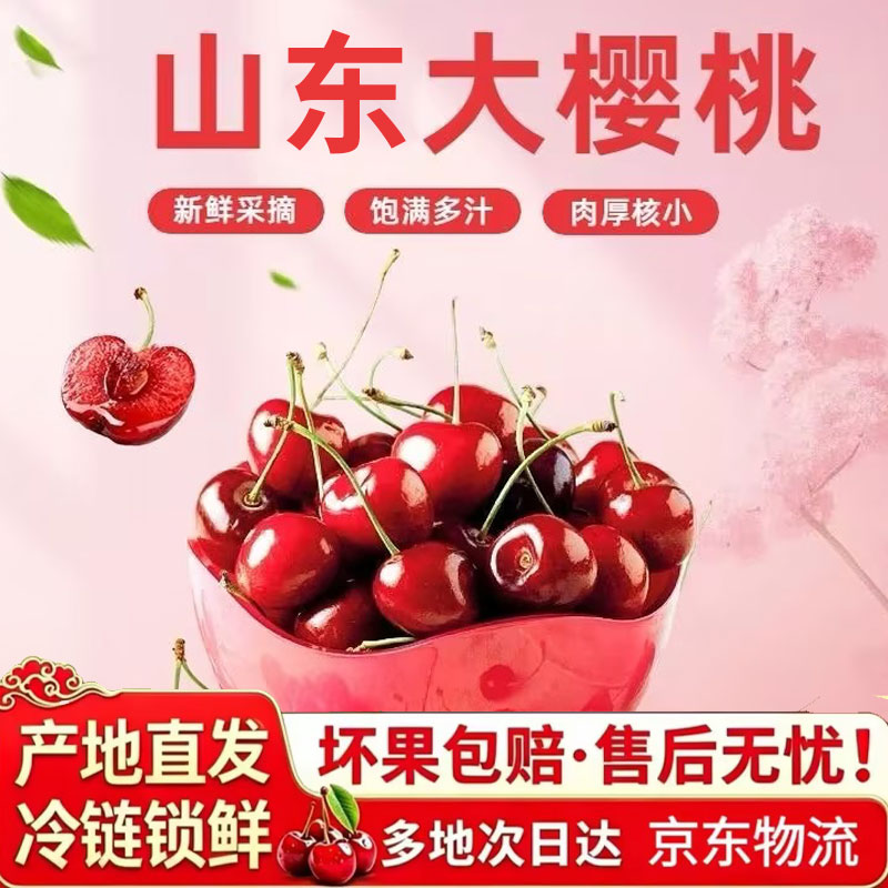 东鲜丰山东大樱桃国产车厘子 孕妇新鲜水果大樱桃水果礼盒组合整箱送礼 3斤丨朋友分享 实惠装果径22-26mm