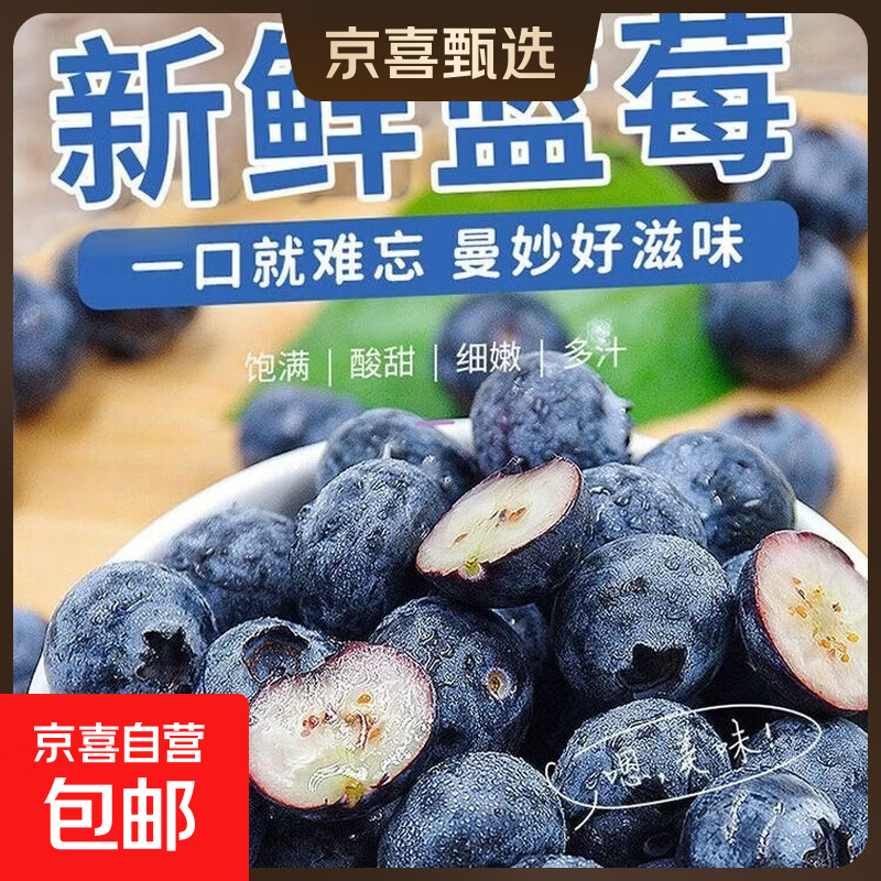 正宗云南高原新鲜采摘蓝莓新鲜水果孕妇宝宝辅食护眼花香蓝莓 蓝莓单果18mm+ 高原蓝莓热卖90-115g*2盒装