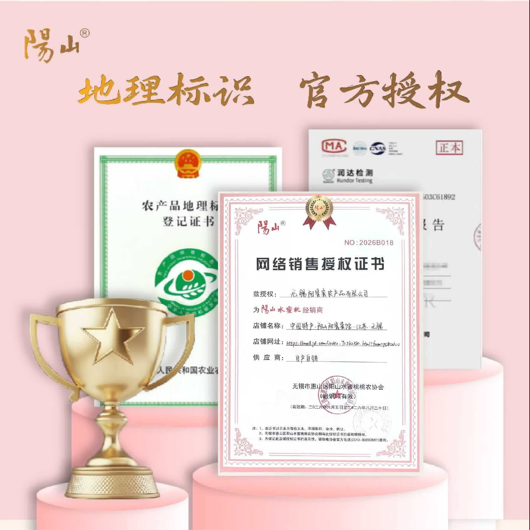 阳山水蜜桃 正宗无锡阳山水蜜桃 新鲜现摘时令水果 高端礼盒装 一级果4-5两8枚礼盒装净重3.2斤多