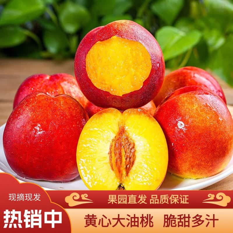 薏品甄鲜山东聊城油桃 新鲜头茬桃子 当季应季水果 脆甜多汁 源头直发 净重3斤【单果60g+】 京东折扣/优惠券