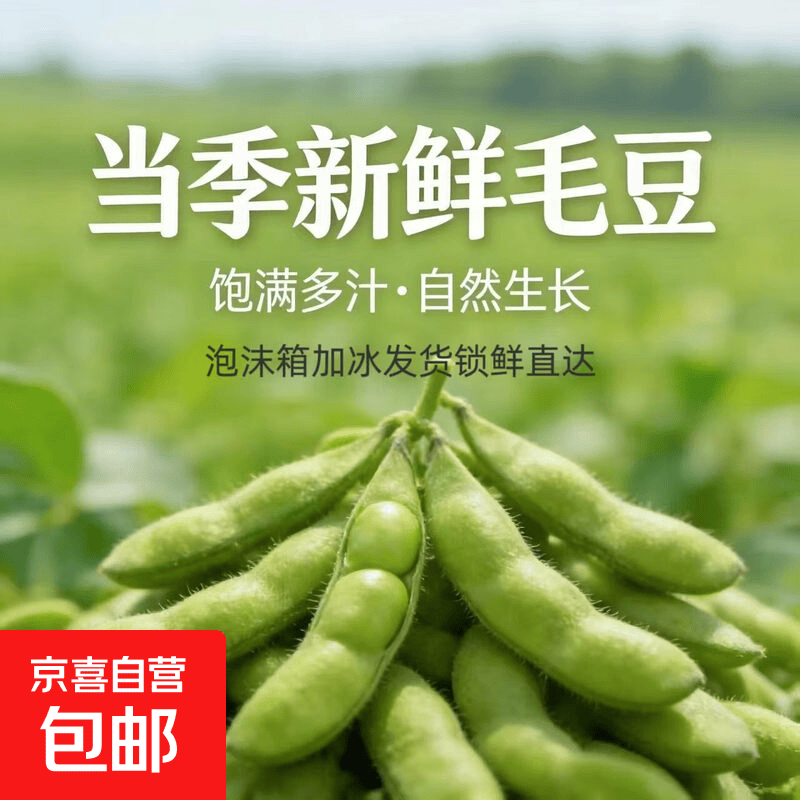 新鲜现摘毛豆农家自种毛豆荚带壳豆大青豆嫩毛豆炒菜下酒烧烤必备 4斤 净重