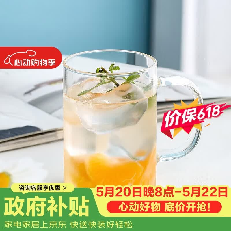 唯铭诺玻璃杯耐高温泡茶杯子男士办公室带把喝水杯单层高硼硅玻璃杯