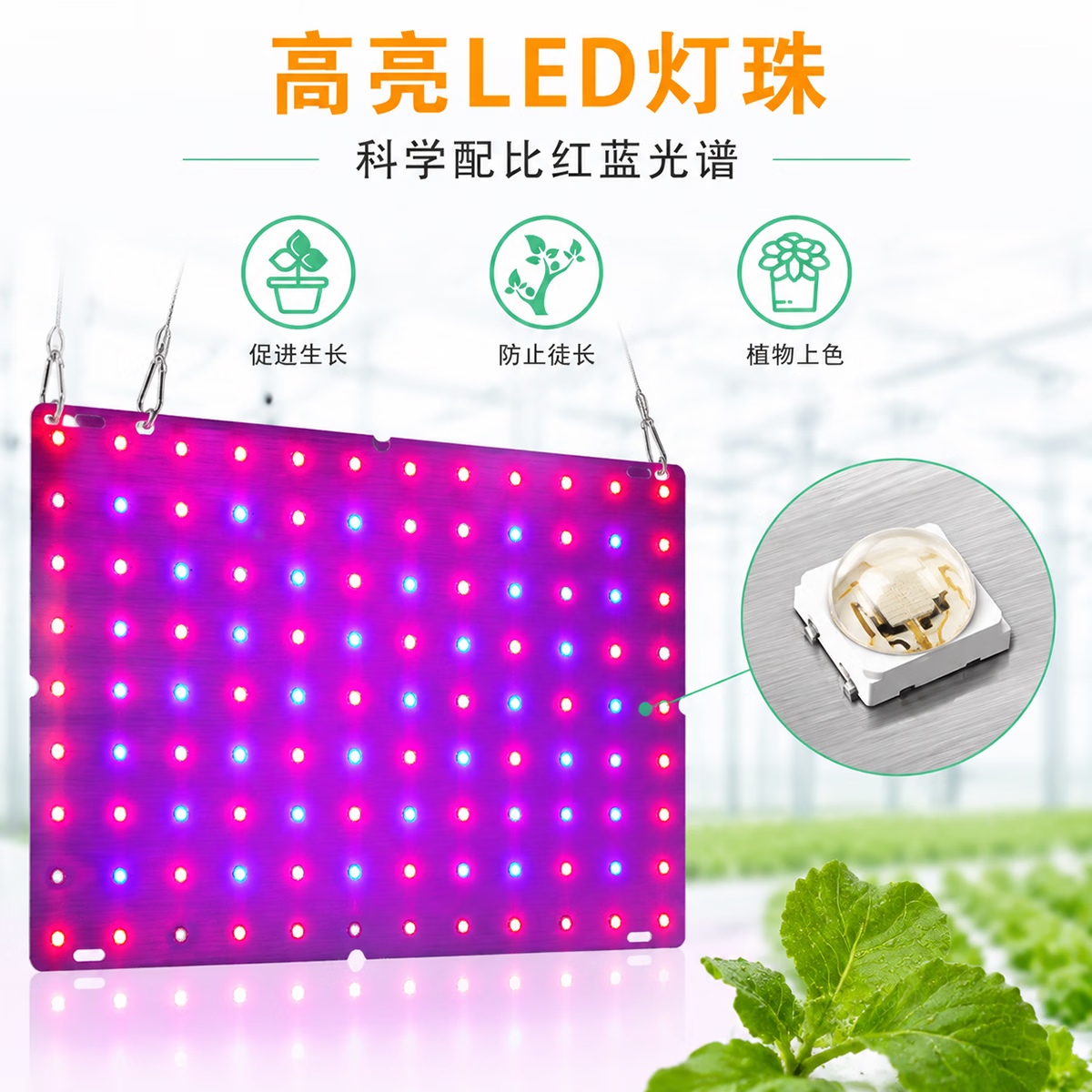 幽麦 LED植物生长灯红蓝光谱花卉多肉补光种植灯室内植物补光灯 169珠(大)25.2*25.2CM
