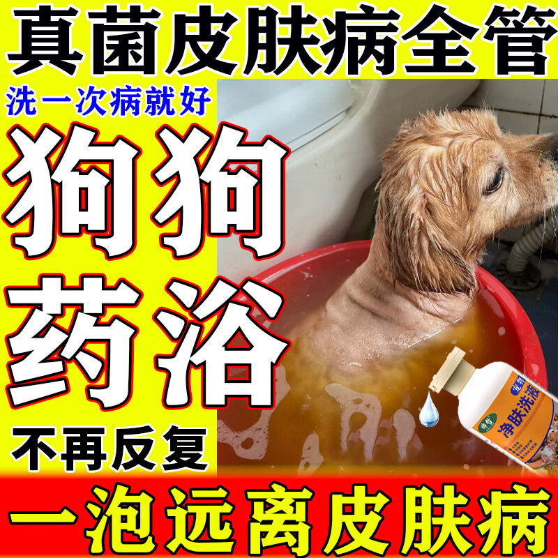 帅哲宠物药浴狗狗皮肤病沐浴露狗癣真菌感染皮屑掉毛杀菌洗澡止痒洗液 300ml 1瓶 【专治狗皮肤病】