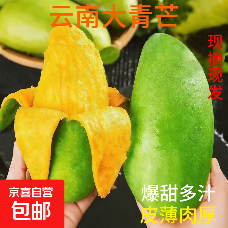 正宗云南现摘现发大青芒新鲜应季水果青皮金煌芒整箱批发超大芒果 【汁水丰富】云南大青芒 中果（单果300g+） 净重2.5斤