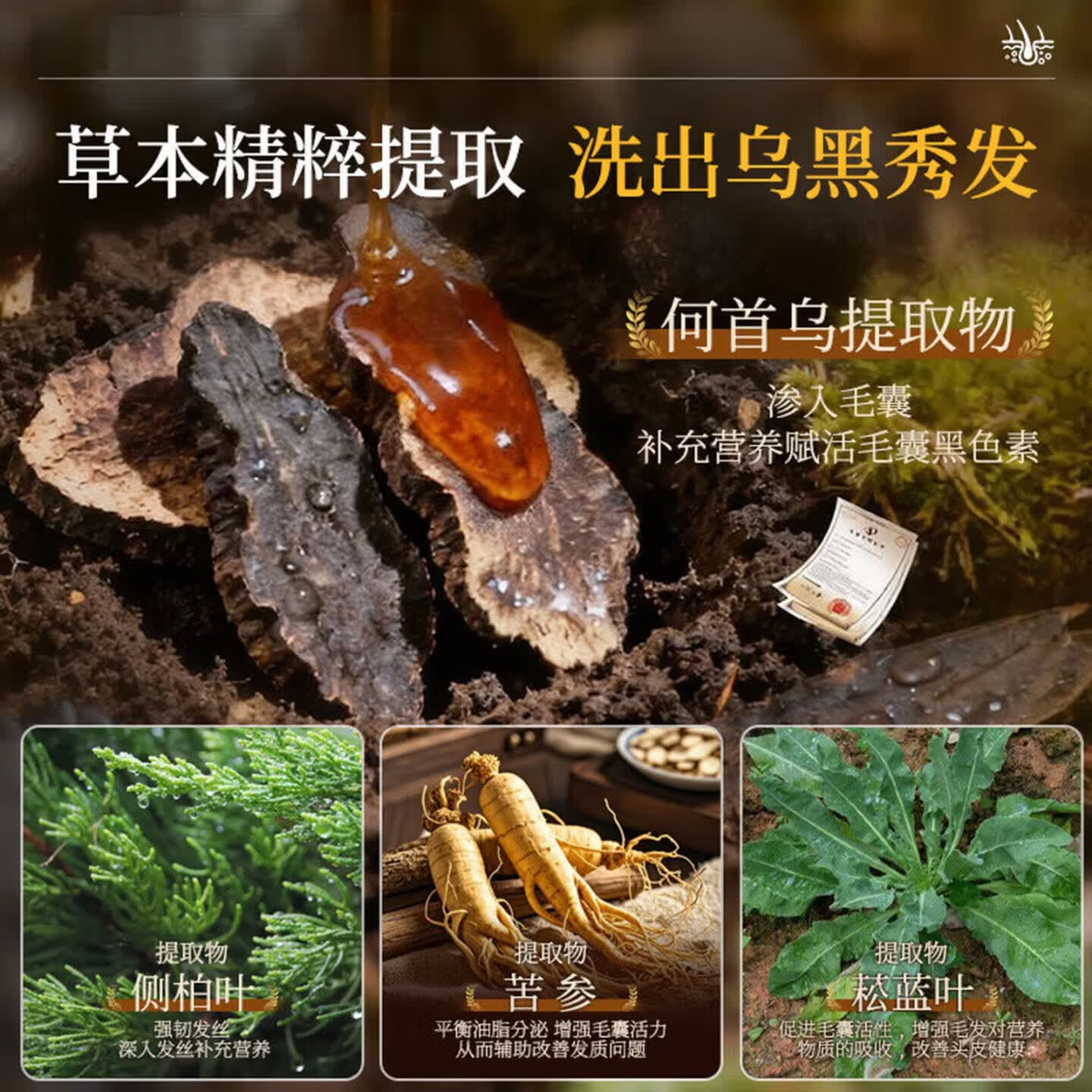 海文赫黑金罐洗发膏水自然黑乌发固色草本养护蓬松柔顺黑白发控油 五瓶【巩固装】根源养黑不反白 【正品直售 京质保障】