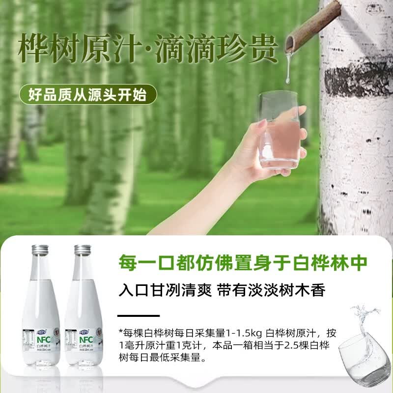 纯吖100%NFC白桦树汁0脂天然植物饮 【彩箱】320mlx6瓶
