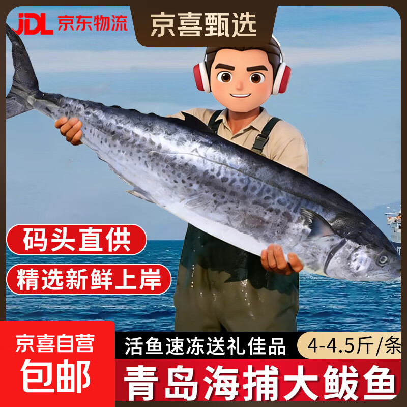青岛海捕大鲅鱼马鲛鱼燕鲅鱼整条净重无冰 海鲜礼盒送礼 鱼类生鲜 整条大鲅鱼4-4.5斤/条