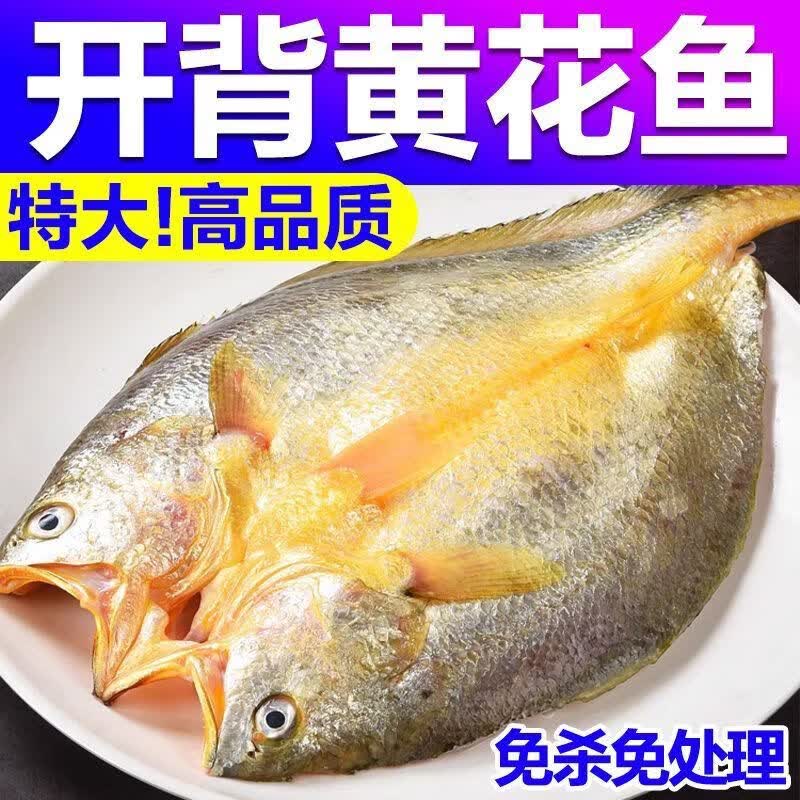 添渔港宁德霞浦大黄鱼黄花鱼黄鱼鲞干货独立真空包装生鲜海鲜厂家批发价 400g-500g/条 独立包装【三条装】 京东折扣/优惠券