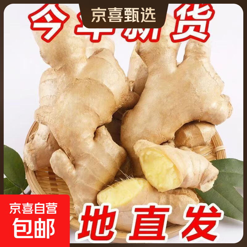 【东东农场专供】风干无泥姜正宗生姜大姜水洗黄姜新鲜月子 山东大姜1斤净重0.8