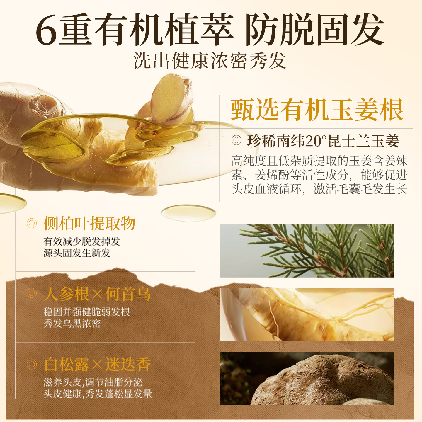 PUNOMO新西兰进口防脱洗发水发育生姜控油去屑蓬松固发养发柔顺男女专用 【防脱固发】洗发水500ml