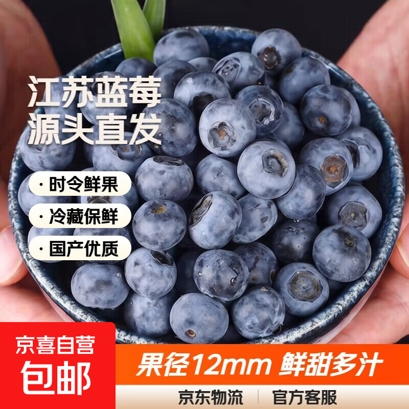 江苏蓝莓鲜果 时令水果 源头直发 单果果径12-15mm 净重4盒*100g