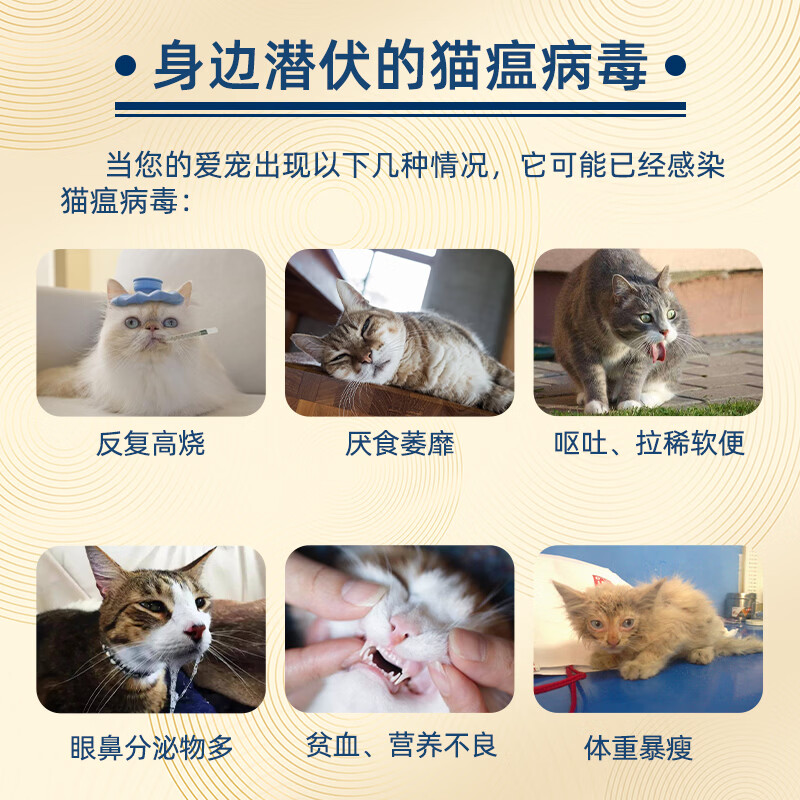 猫瘟热抑制蛋白冻干型单克隆抗体紧急预防猫细小病毒治疗套餐 猫瘟抑制蛋白10瓶整盒