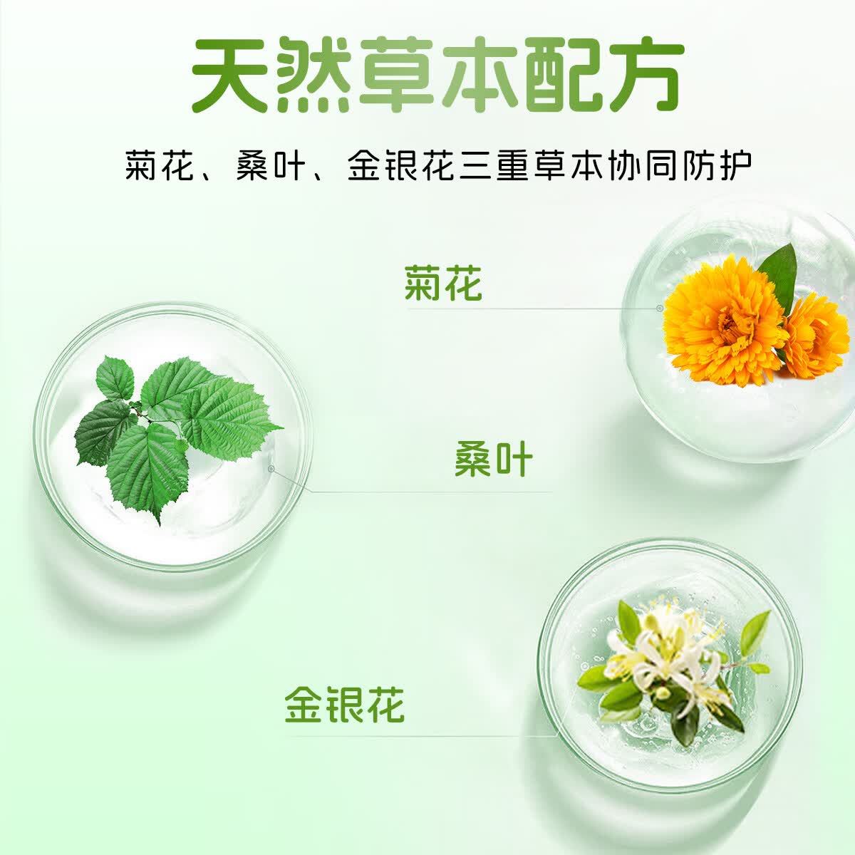 术问疱诊密码泡诊大师基因工程猫咪专用辅助营养补充剂猫疹20粒/盒 疱疹密码20粒*1盒
