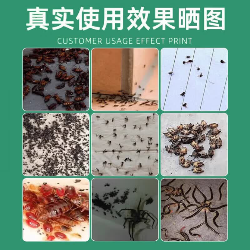 FIELL德国跳蚤药床上家用除灭跳蚤喷雾虱子专用杀虫剂室内大面积专杀神 5瓶装 【囤货装】床上大面积 人宠安心 【灭跳蚤】床上可喷 虫卵双杀 跳蚤克星