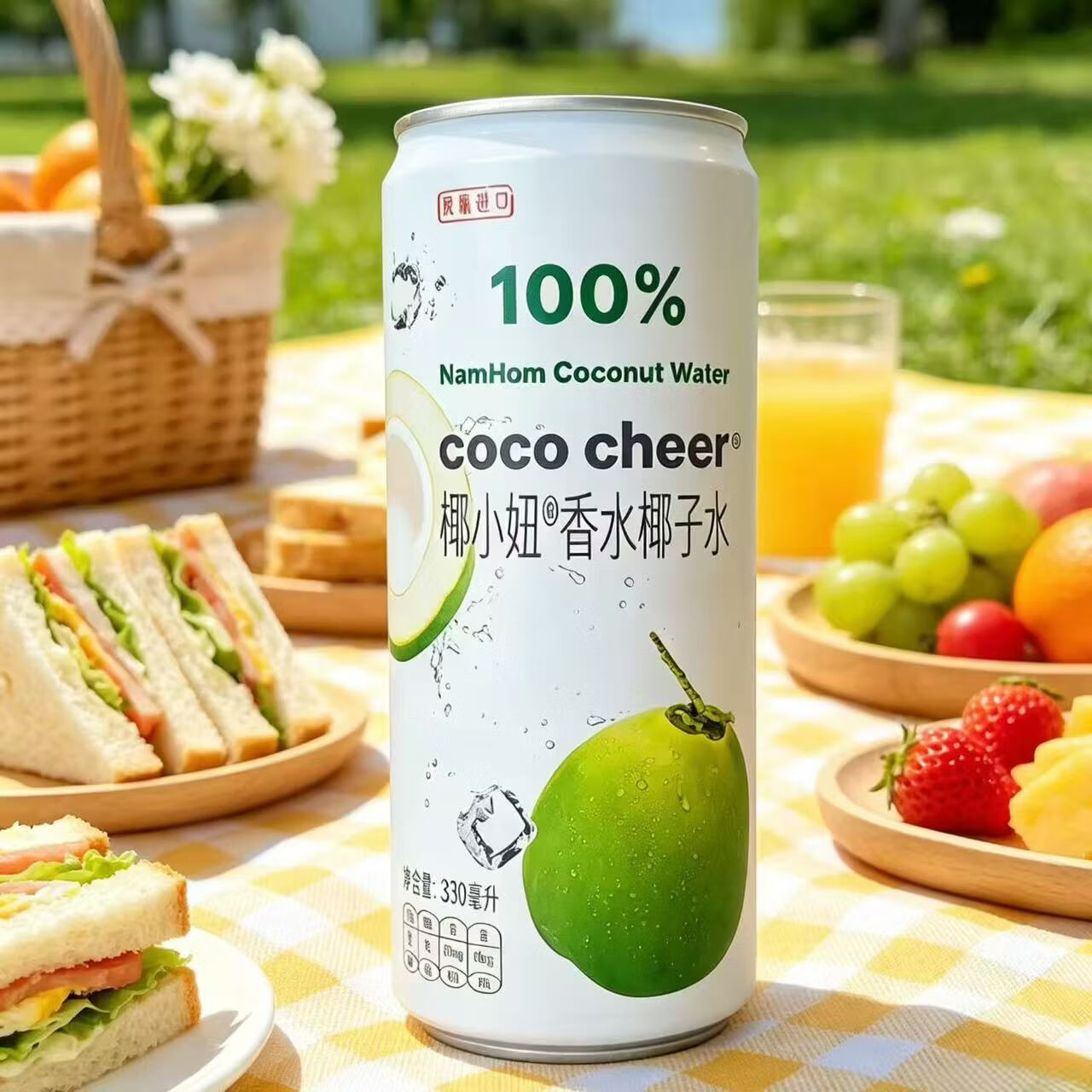椰小妞越南原瓶进口NFC100%香水椰子水 0脂电解质椰子饮料夏日畅饮整箱 24听（12听*2箱）