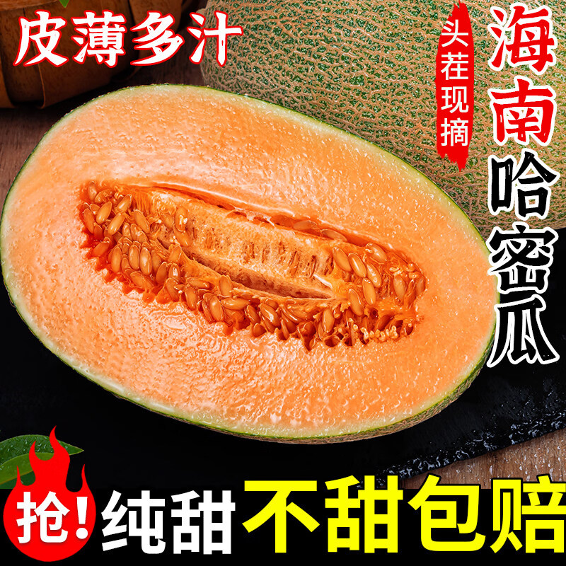 正宗海南哈密瓜网纹蜜瓜玲珑当季现摘脆甜多汁皮薄新鲜香甜整箱装 3斤 尝鲜装 【新鲜采摘，试吃尝鲜】