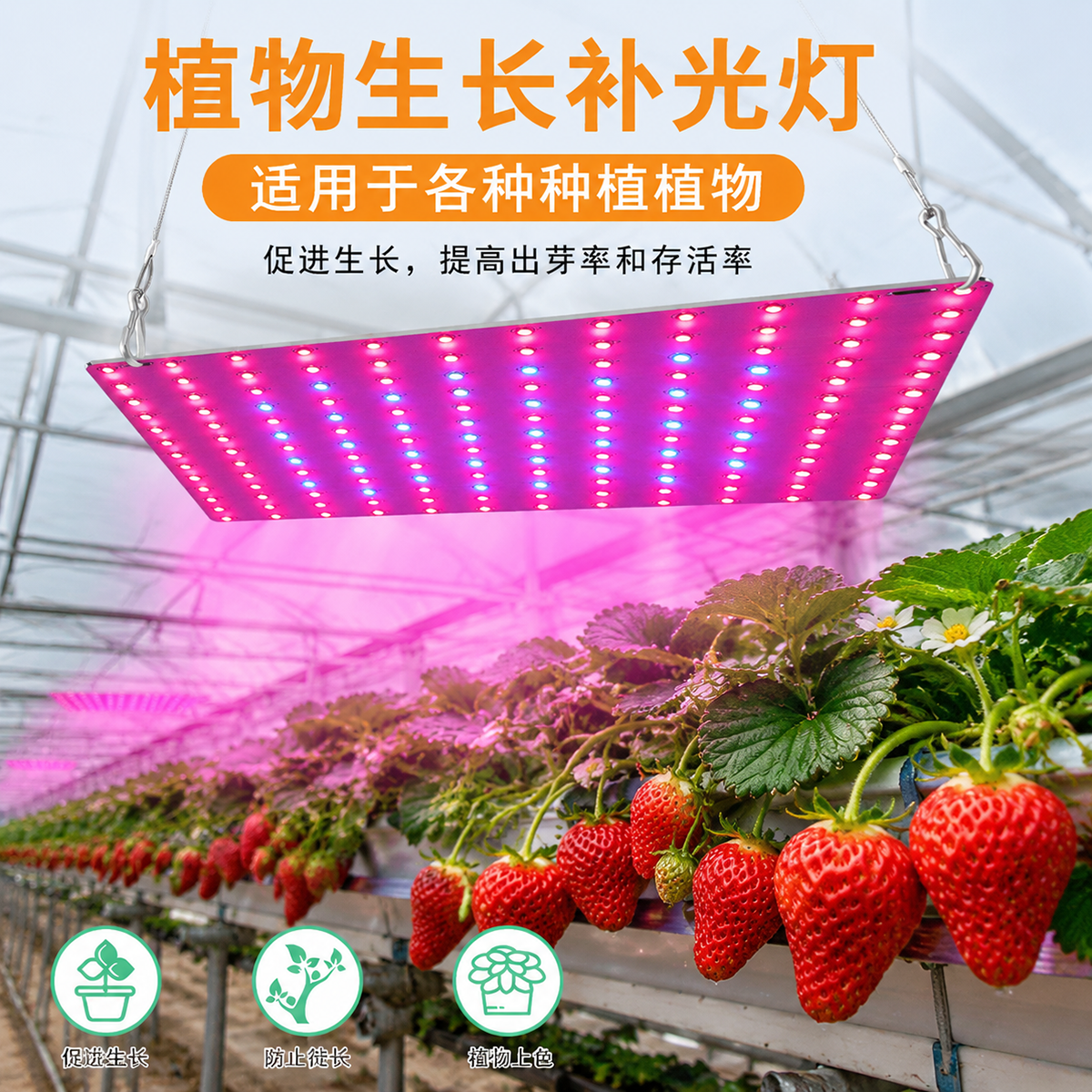 幽麦 LED植物生长灯红蓝光谱花卉多肉补光种植灯室内植物补光灯 169珠(大)25.2*25.2CM