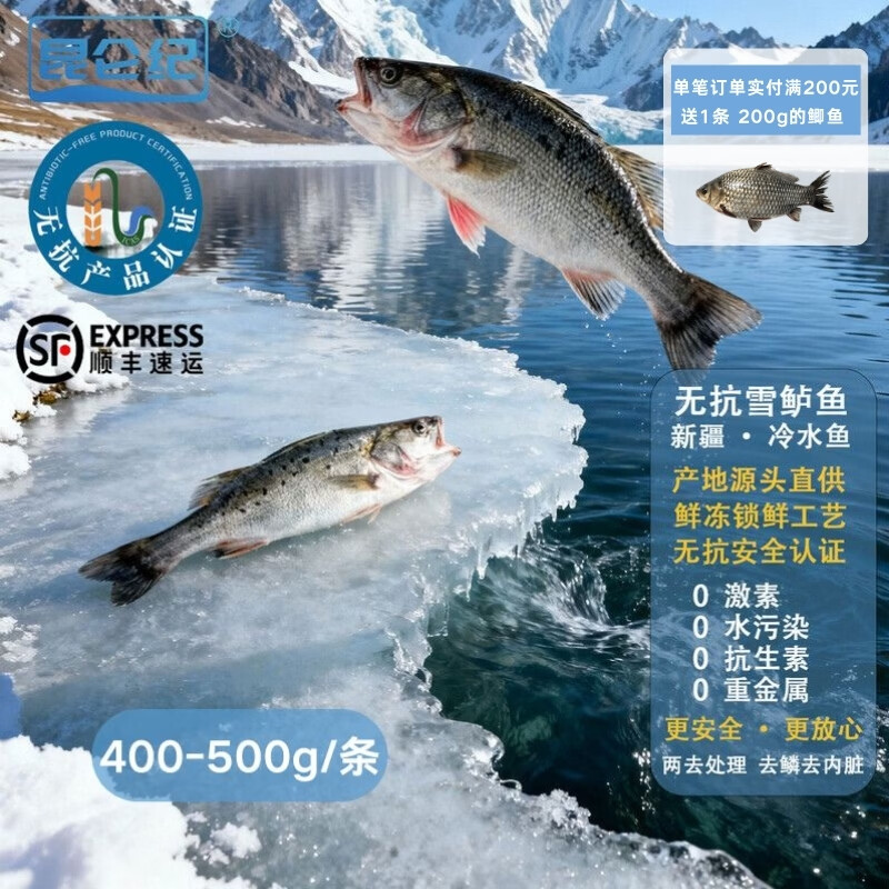 昆仑纪天山无抗雪鲈鱼淡水鲈鱼整条装新疆鱼新鲜冷冻冷水鱼顺丰冷冻发货 天山雪鲈鱼(400~500g/条)(已去鳞去内脏) 2条装