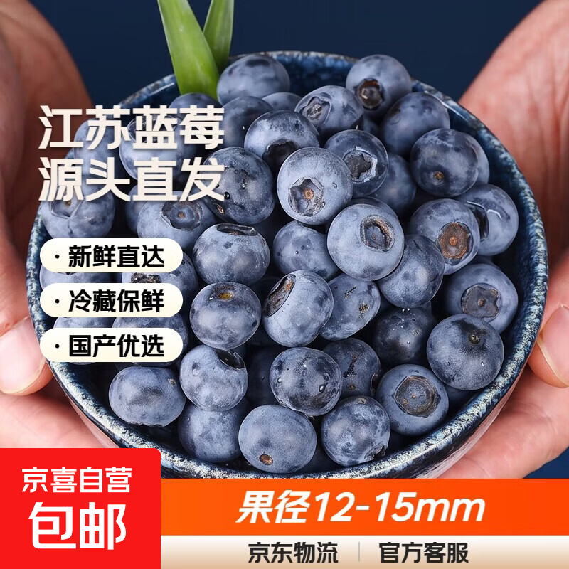 江苏蓝莓鲜果 时令水果生鲜 源头直发 单果果径12-15mm 净重6盒*100g