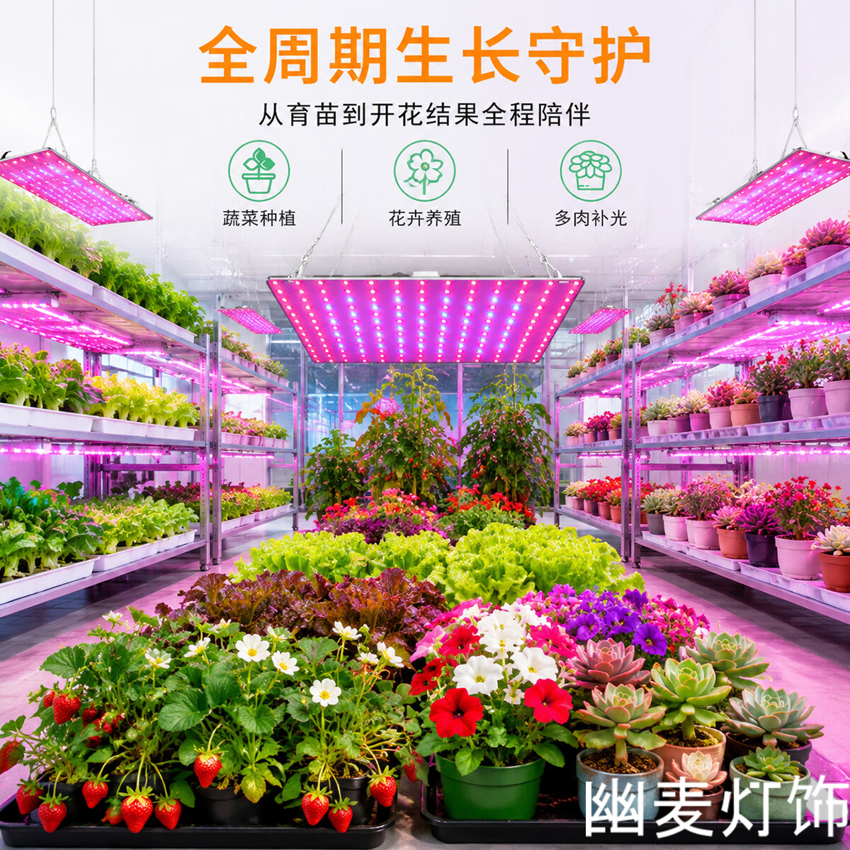 幽麦 LED植物生长灯红蓝光谱花卉多肉补光种植灯室内植物补光灯 169珠(大)25.2*25.2CM