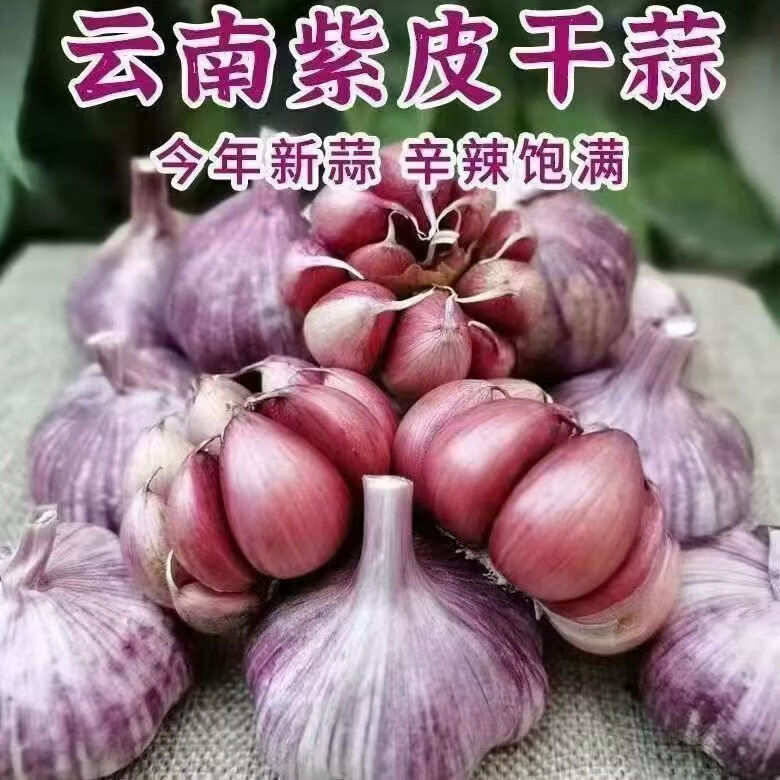 农锅锅新鲜干蒜云南大蒜头云南紫皮干蒜多瓣蒜头紫皮香蒜农家新鲜现晒 干蒜5斤果经40mm-50mm 原产地直发