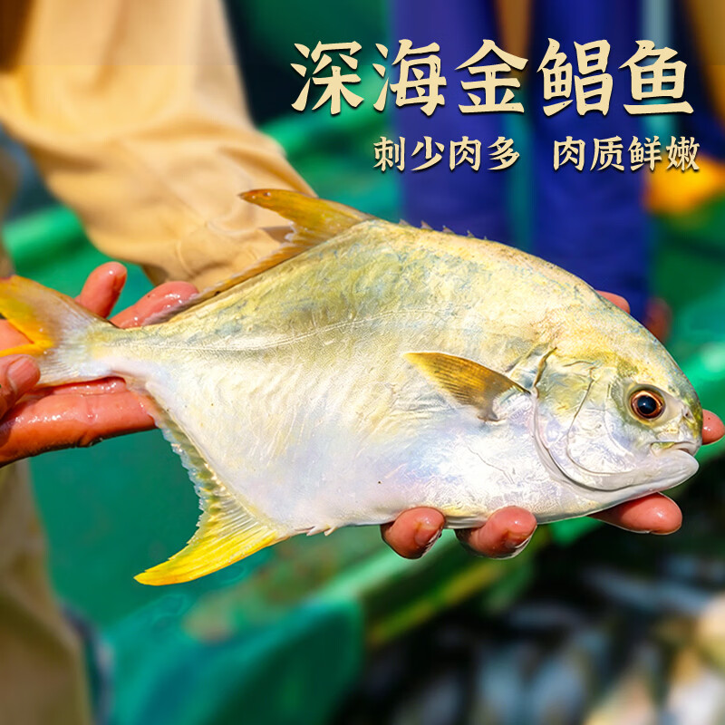 翔泰海南金鲳鱼净重900g2条装 鱼类生鲜 海鲜水产  