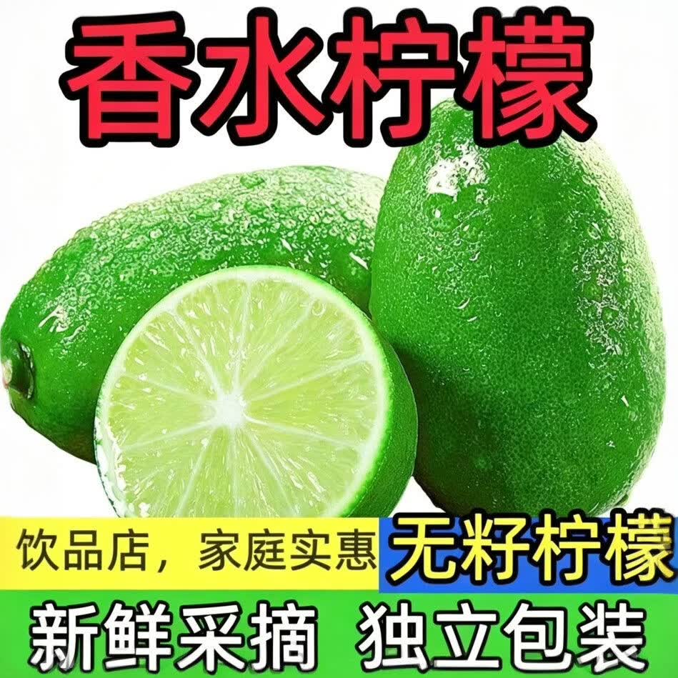 【产地批发价】海南无籽香水青柠檬鲜果整箱当季水果奶茶店专用 海南无籽香水柠檬【独立包装】 超值小果【50-80克】约9-15个果【约1.5-2斤】