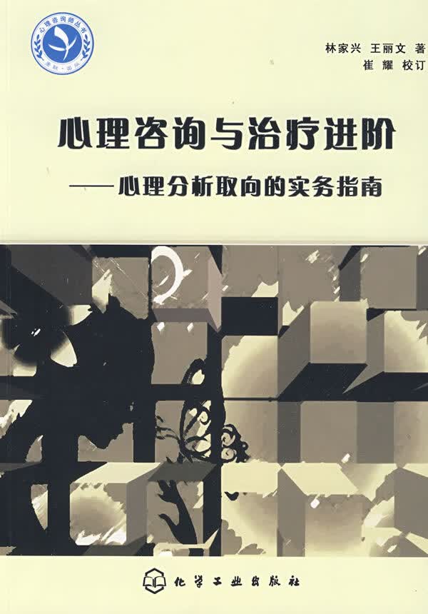 心理咨询师继续教育丛书:心理咨询与治疗进阶-心理分析取向的实务指南