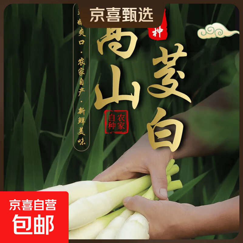 【东东买菜】新鲜茭白浙江湖州菰城特产带壳茭白高笋时令新鲜蔬菜 现采带壳茭白2斤净重