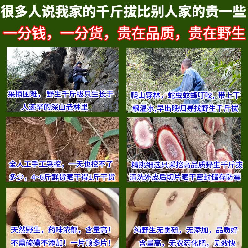 内廷上用野生千斤拔中药材千金拔牛大力杜仲巴戟天英雄酒泡酒药材套餐 野生千金拔 皮红褐味浓 2斤送1 1100g*1包