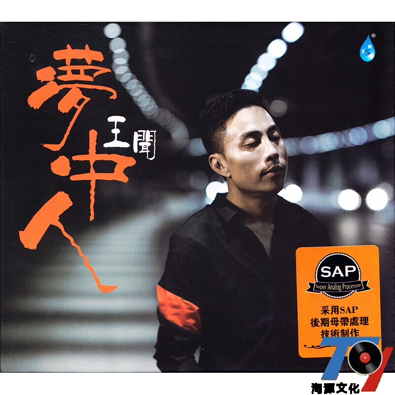 王闻梦中人发烧cd唱片 梦中人 发烧 cd
