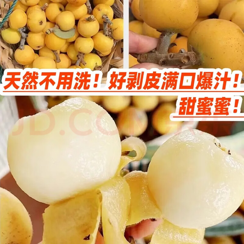 当天发货【正宗】苏州东山白玉枇杷JD多地次日达孕妇老人小孩水果 5斤96颗