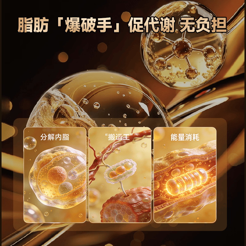千资堂白芸豆左旋肉碱美式黑咖啡0糖0脂0卡肥胖有氧减健身运动即饮速溶 20袋*1盒