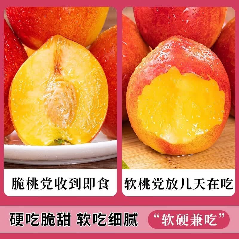 田良季黄肉油桃新鲜当季应季水果黄金油桃现摘现发产地直发送礼品物盒 臻选果【单果65-90g】 带箱5斤【蕞划算】净重4.5斤装