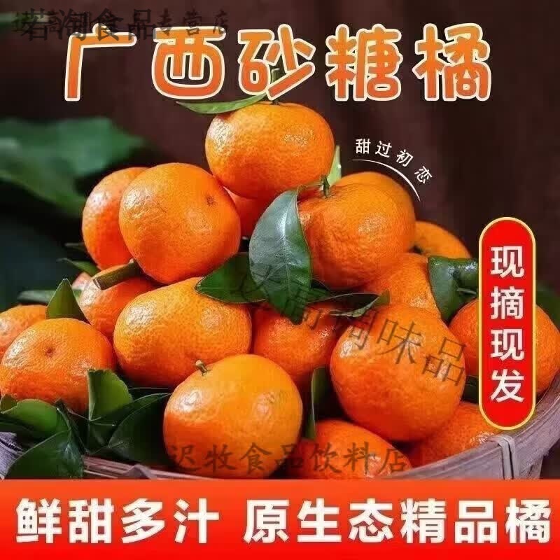 广西砂糖桔子橘子爆甜水果薄皮新鲜柑橘广西沙糖桔批发 高山老树果:[带箱5斤装]