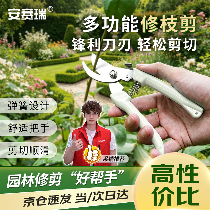 安赛瑞 修枝剪刀果树剪园艺剪 盆栽剪花卉工具园林绿植剪刀花艺 5J00326