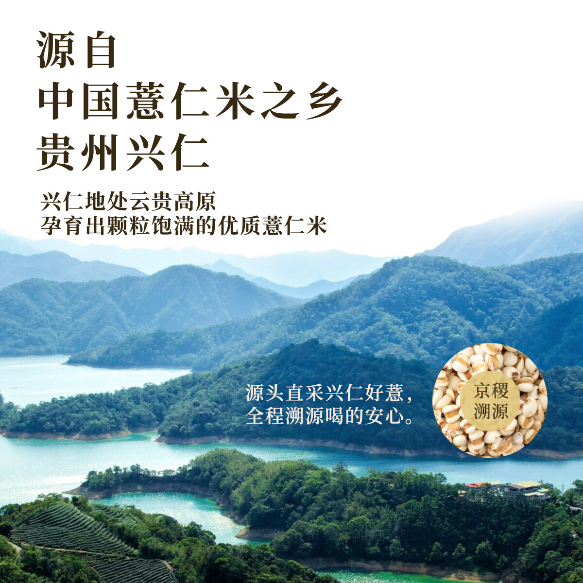 薏气薏仁米气泡水柠檬味果味型碳酸饮料汽水火锅饮料露营摆台 330ml*6罐
