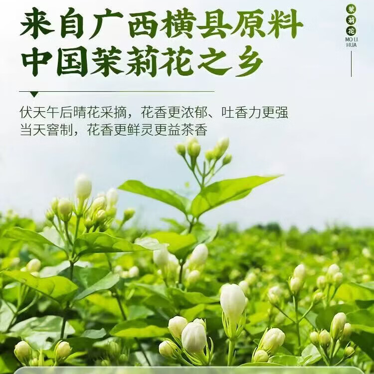 同仁堂（TRT）甄选广西横县特级茉 莉 花理气解郁舒缓情绪清新解腻养生茶饮 特级茉莉花茶 125g*4罐