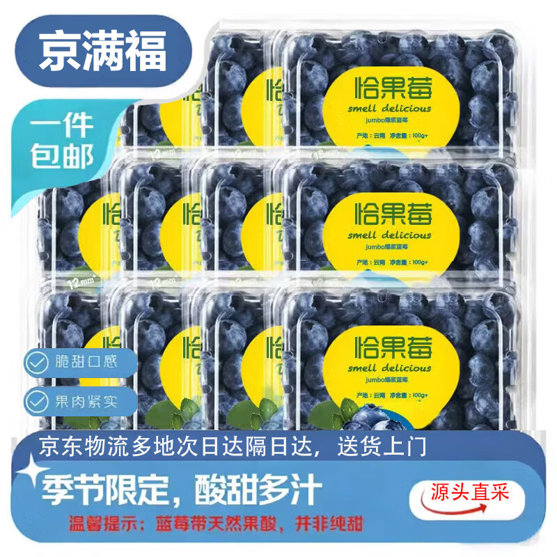 京满福云南花香蓝莓 新鲜蓝莓 当季水果 宝宝孕妇 国产时令生鲜整箱 4盒装 单果12-15mm 净重4*100-125g/盒 带箱1斤