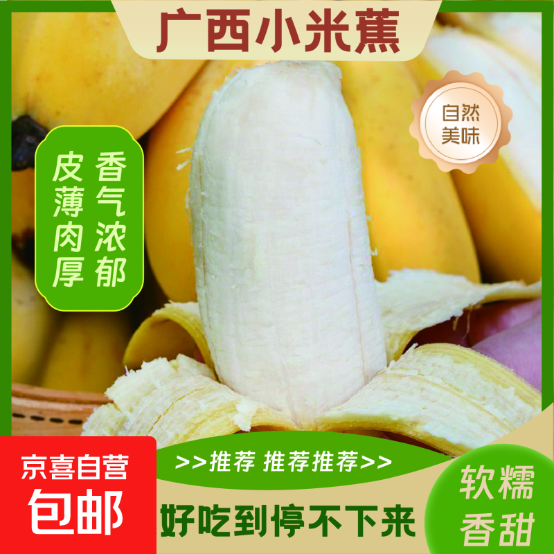 京喜加广西小米蕉新鲜水果当地蕉苹果蕉皇帝蕉小香蕉软糯香甜 净重9斤 软糯香甜  酸甜可口