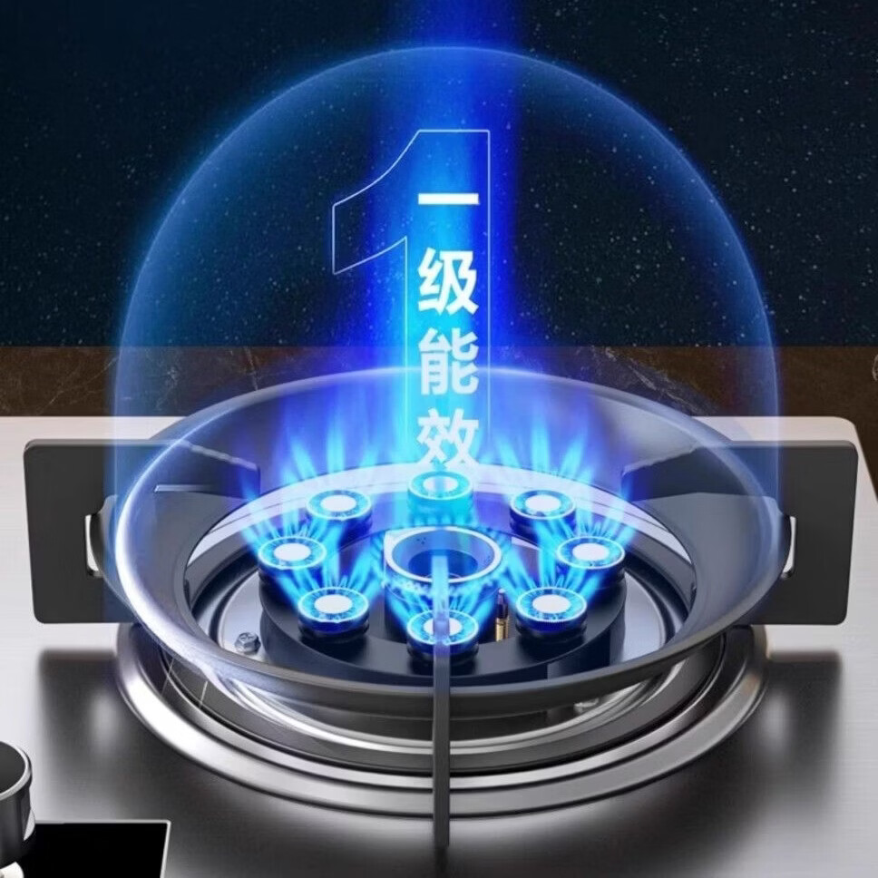 御皇好太太燃气灶天然气双灶台 煤气灶罐装液化气灶台式嵌入式两用5.2KW直喷大火力易清洁双炉具 【双九腔直喷】聚能猛火丨定时 不锈钢面板 【罐装】液化气