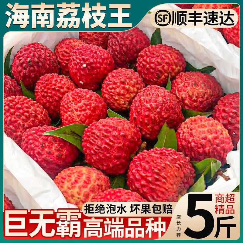 三萌果蔬海南荔枝王超大【JD顺丰空运-闪送】新鲜火山荔枝水果端午节送礼 5斤精选装【多人复购-超超划算】净重4斤 A+级【特大果-鸡蛋大小】丨1斤约10-12枚